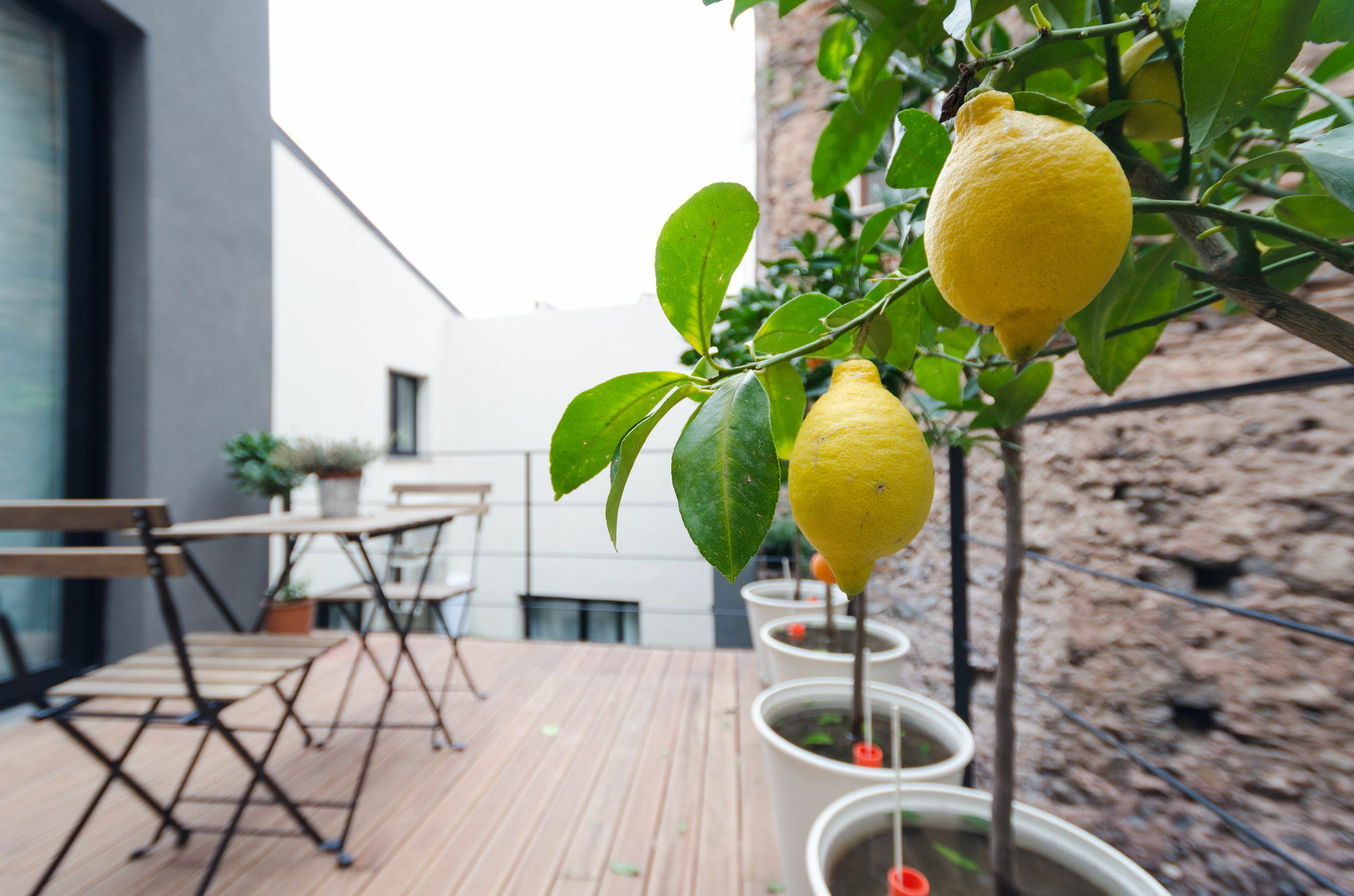 Pietranera Apartments Катанія Екстер'єр фото